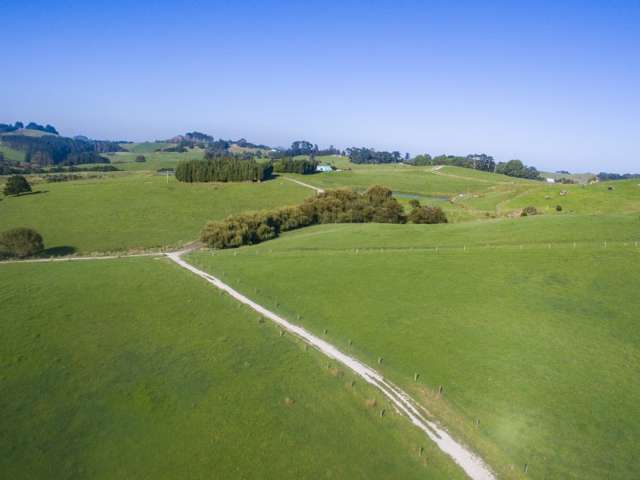 450a Settlement Road Kaiwaka_1