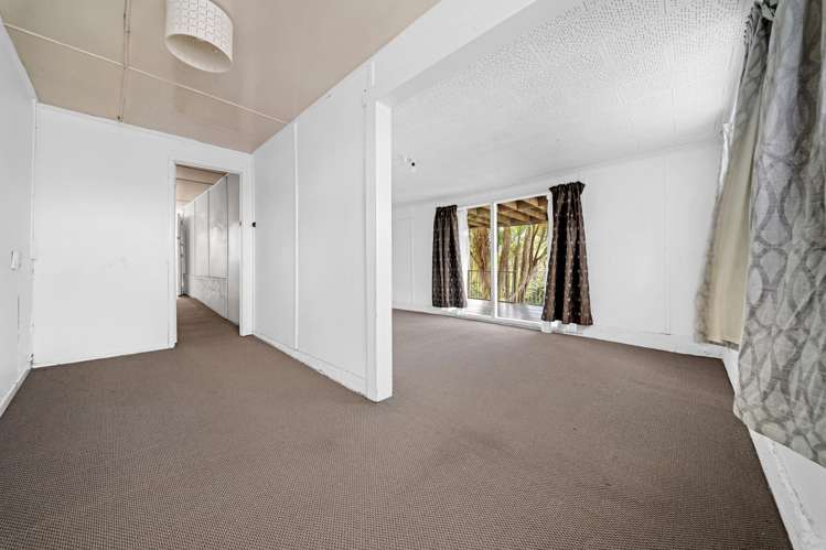52 Carlton Street Hillsborough_20
