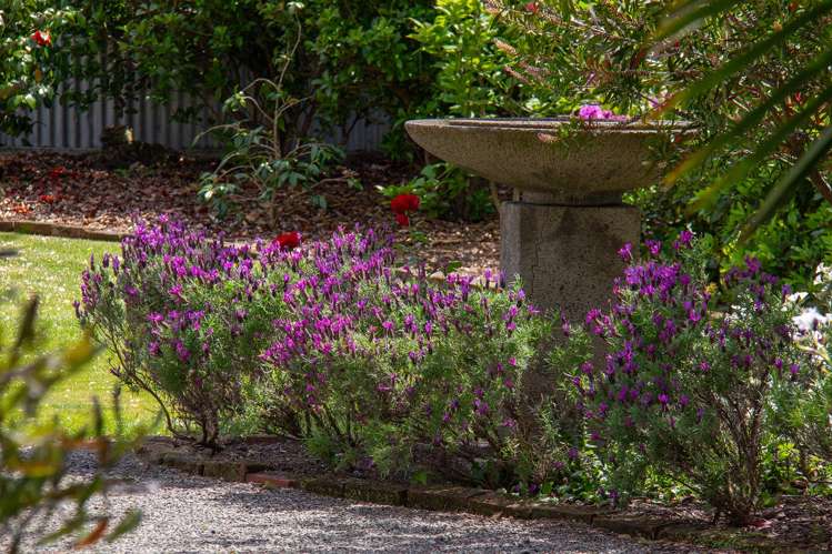 139 Colombo Road Masterton_22