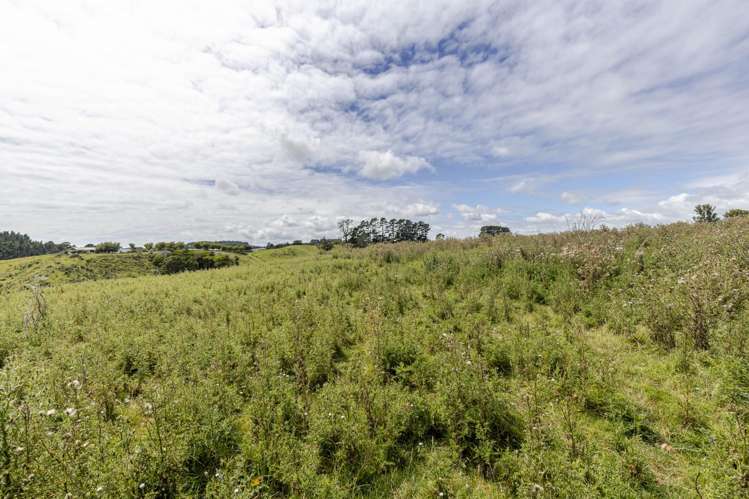 Lot Lot 1/208 Smart Road Hillsborough_15