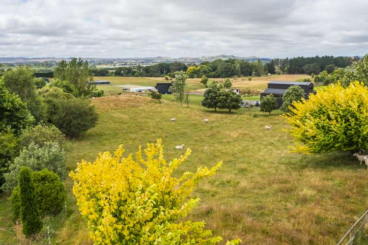 33 Jg Wilson Drive Waipukurau and Surrounds_22