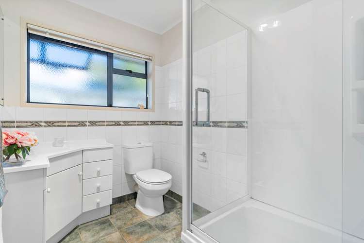 28 Carlton Street Hillsborough_15