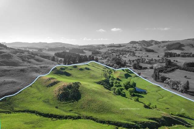 102 Scargill Valley Road Greta Valley_3