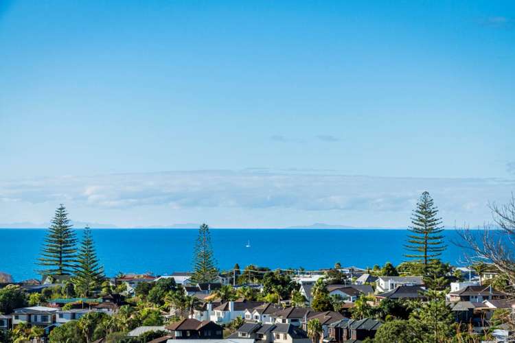 163b Kowhai Road Mairangi Bay_59