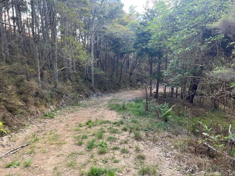125a Linton Road Maungaturoto_15