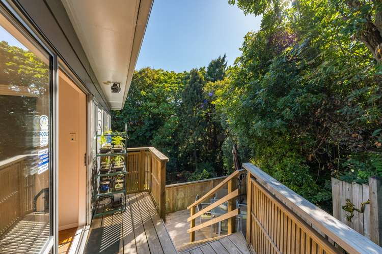 17 Harrier Street Parkvale_16