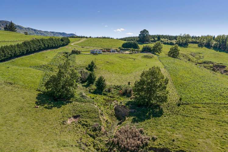 182 Claymore Road Te Pohue_21