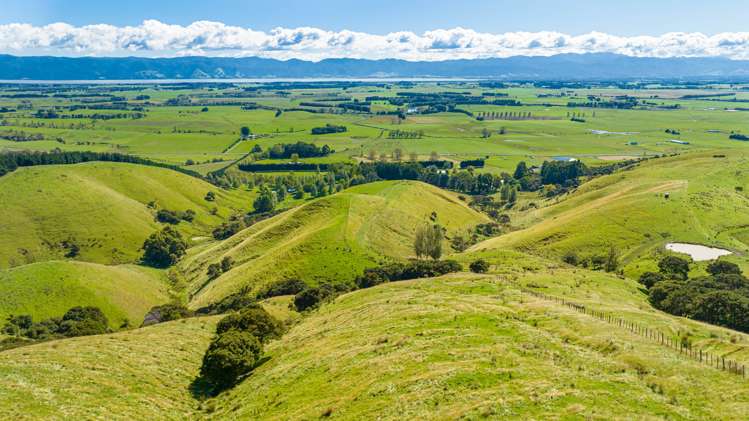 Lake Ferry Road Martinborough_9