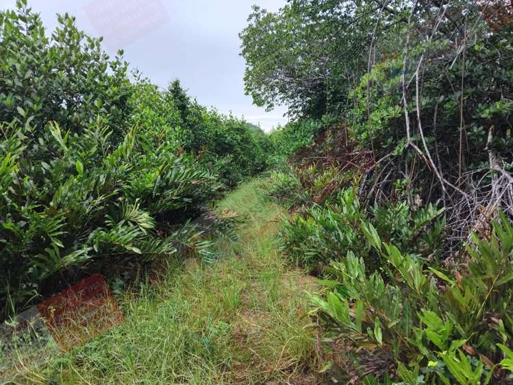 Address withheld Labasa_3