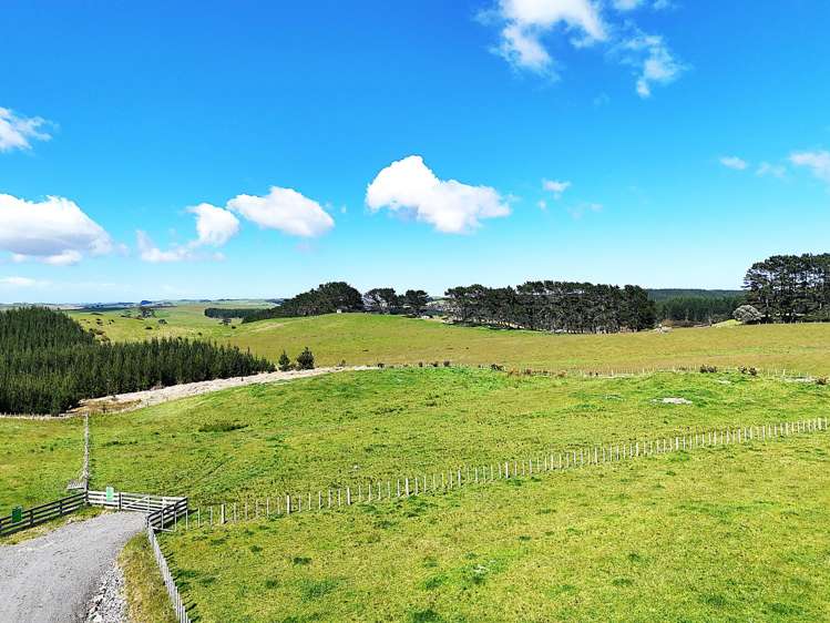 Babylon Coast Road_5