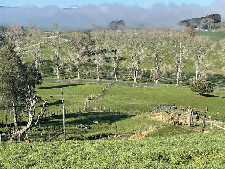 80a Mangaotaki Road Piopio_36