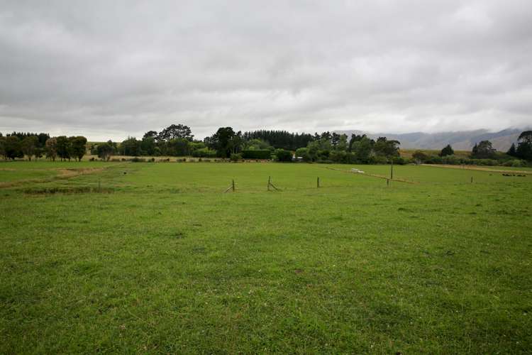 97 Stafford Street Shannon_5