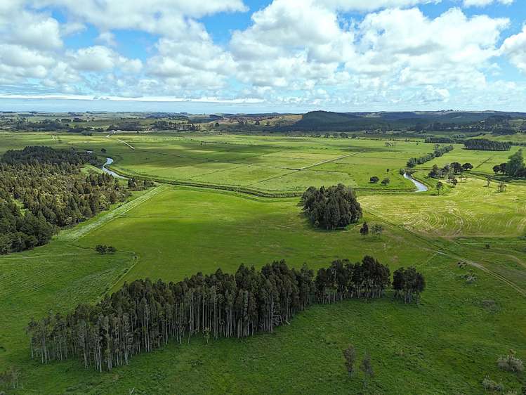 497 Opanake Road Dargaville_8