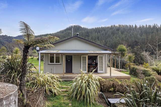 102 Okaihae Road Taumarunui_1