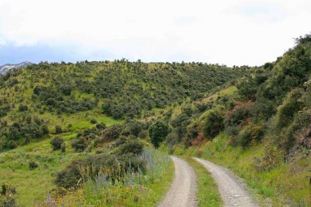 Leatham Road Wairau Valley_1