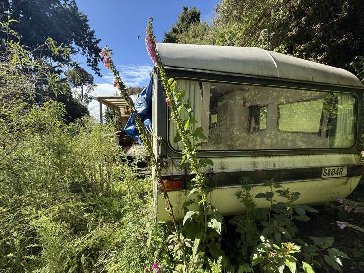 Harrington Mill Road Tahakopa_5