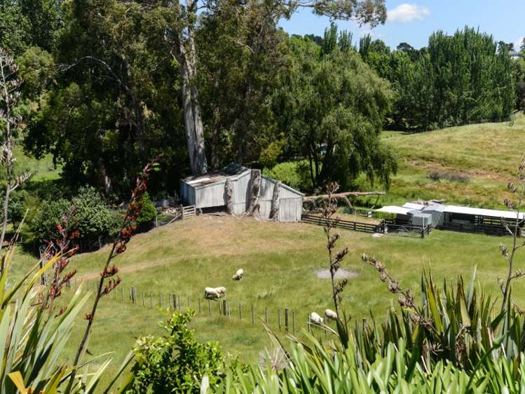 146 Poraiti Road Poraiti_18