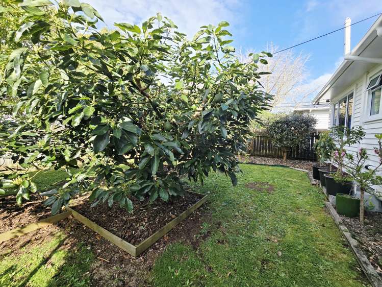 12 Miro Street Merrilands_30