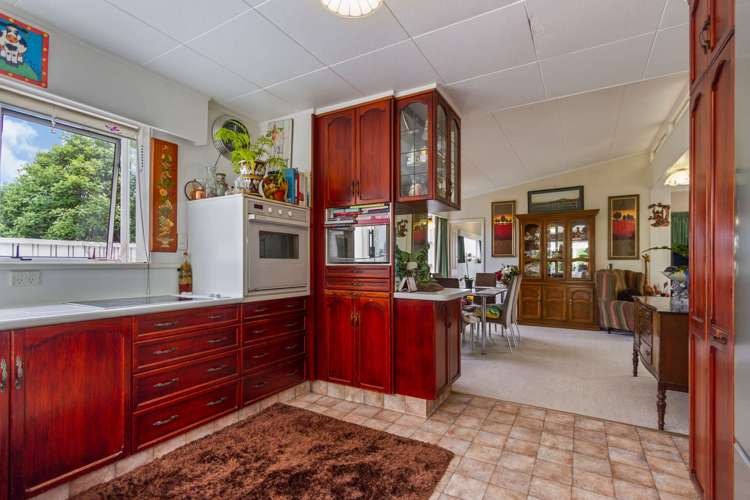 217 Annesbrook Drive Wakatu_11