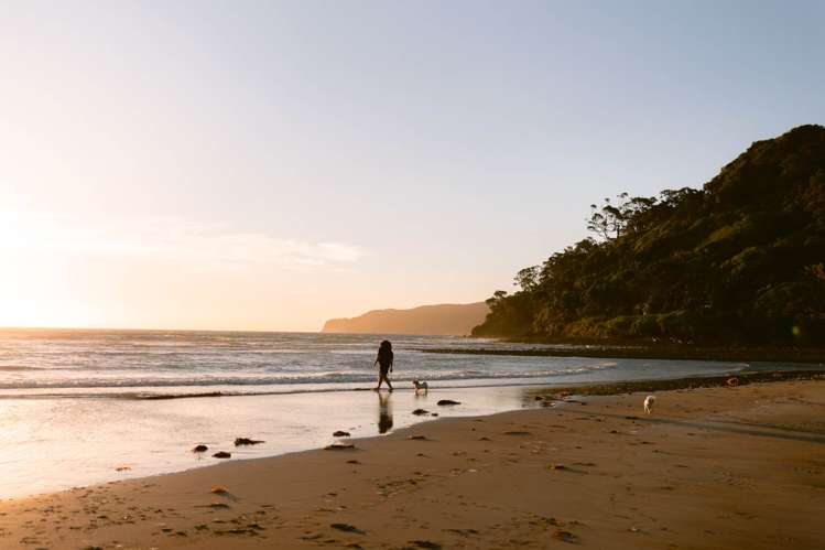 5 Mulberry Grove Road Great Barrier Island_66