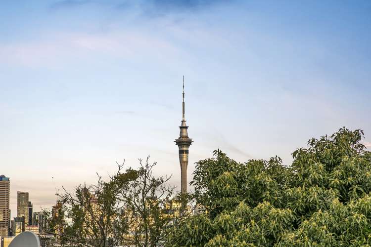 10/99 Shelly Beach Road Saint Marys Bay_16