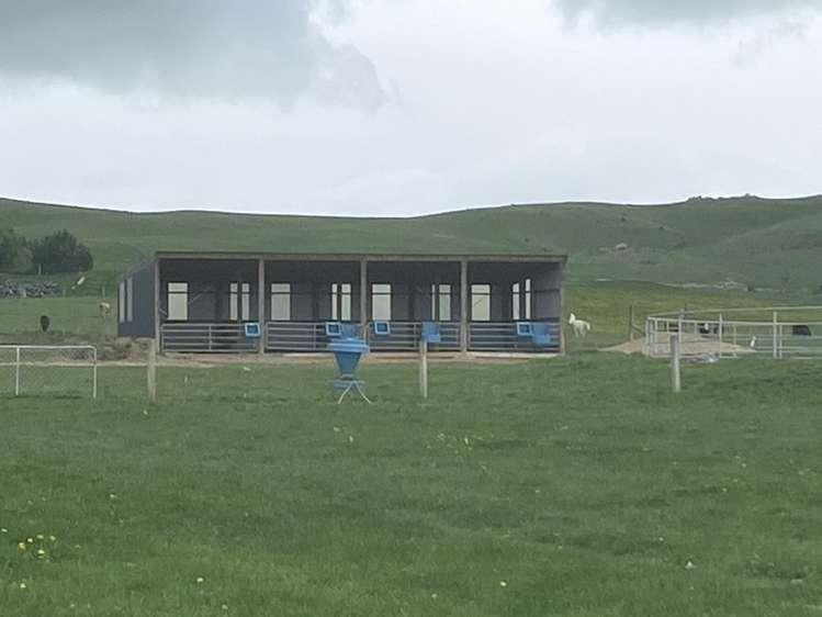 224 Auripo Road Poolburn_10