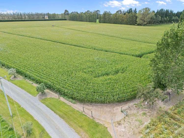 349 Wakanui Road Ashburton_12