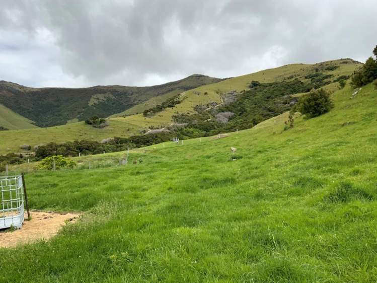 195 Jubilee Road Wainui_6