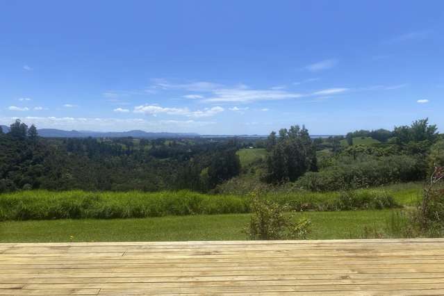 222 Wainui South Road Whakamarama_1