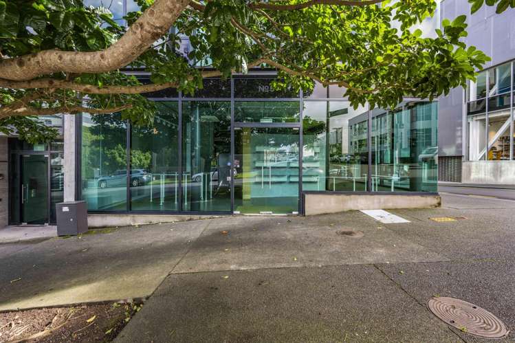 5 Crummer Road Grey Lynn_14