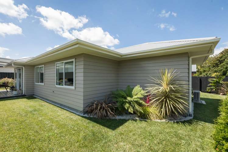 26C Walker Street Waihi_16