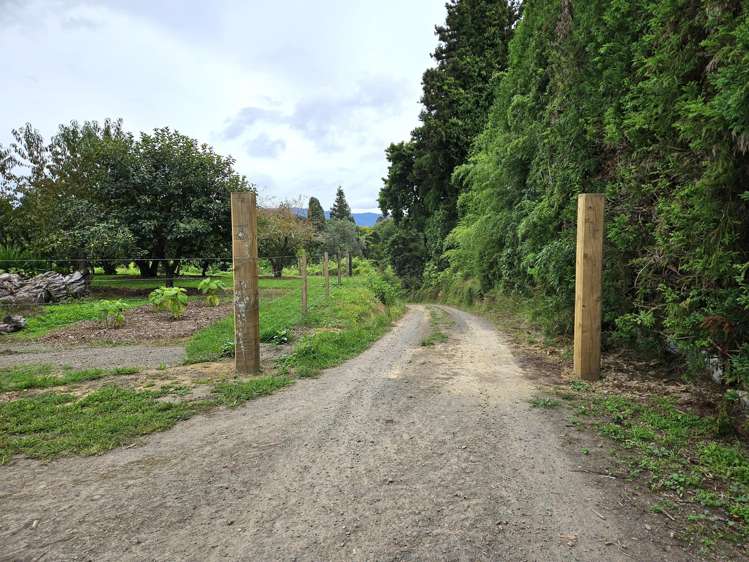 400 Te Matai Road Te Puke_12