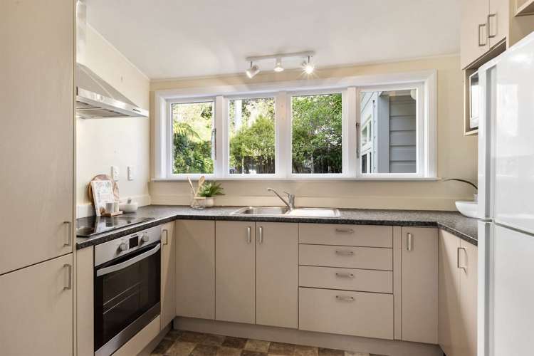 94 Holloway Road Aro Valley_7