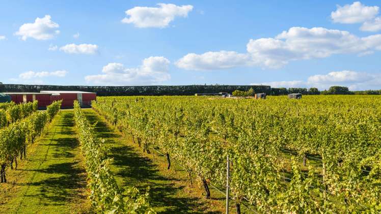 2321 Main South Road Burnham_23