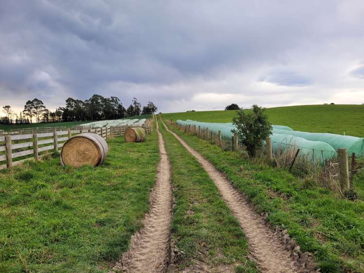 246 Tokarahi-Ngapara Road Five Forks and Surrounds_7