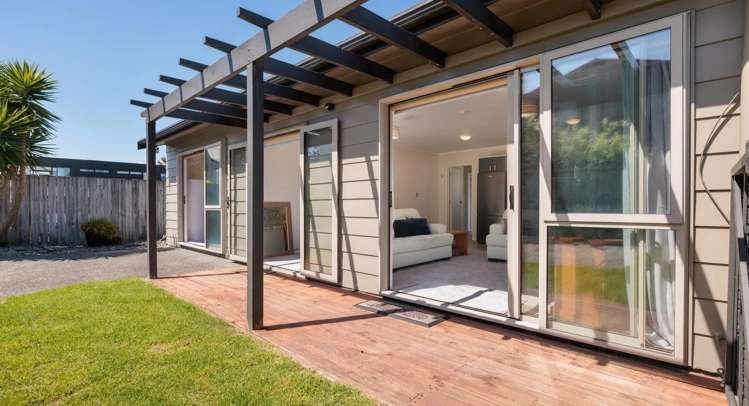 128B Karewa Parade 1131_0