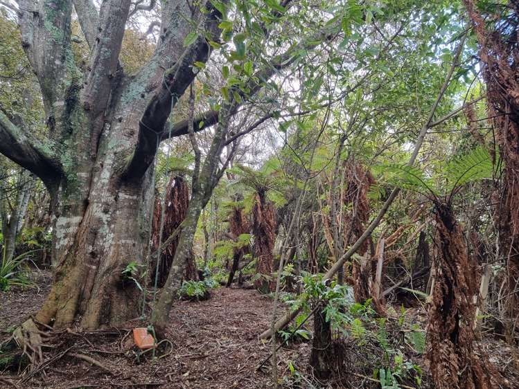 9 Traill Road Stewart Island/Rakiura_19