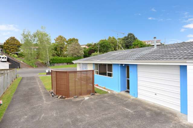 38a Livingstone Avenue Nawton_3