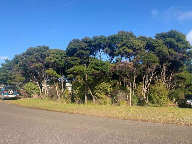 12 Moana View Road Great Barrier Island (Aotea Island)_1