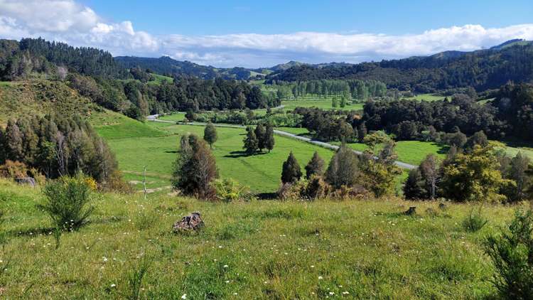 1104 Tapuhi Road Hikurangi Rd2_19