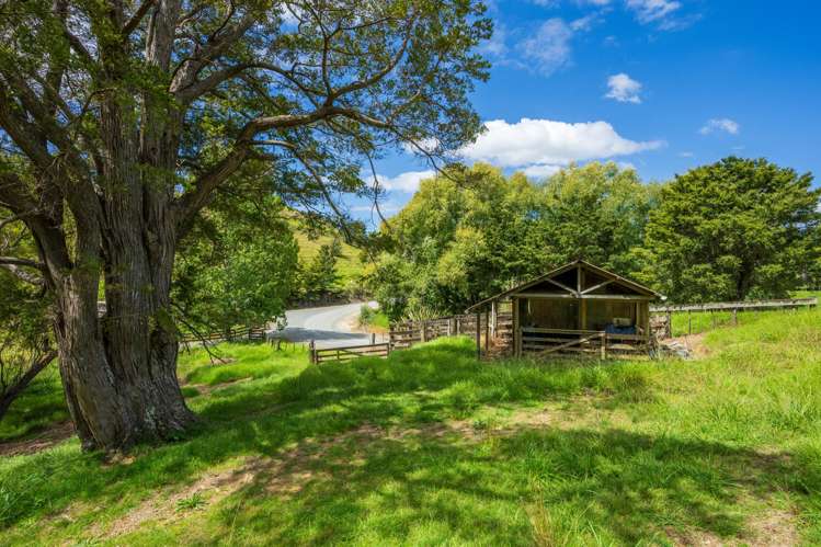 64 Ross Road Parua Bay_41