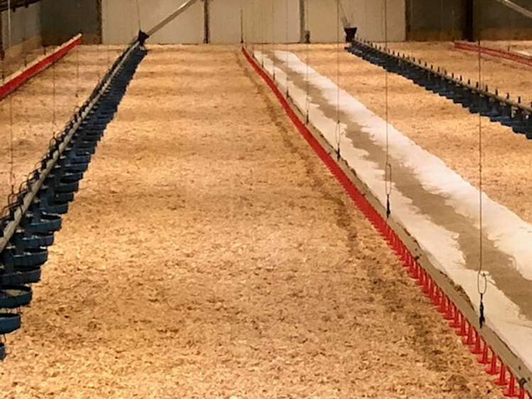 15 Horndon Street Darfield_6