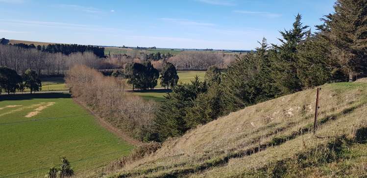 17 Esk Bank Road Otaio_8