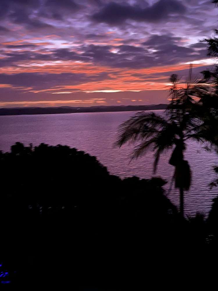 64 Scott Road Tamaterau_27