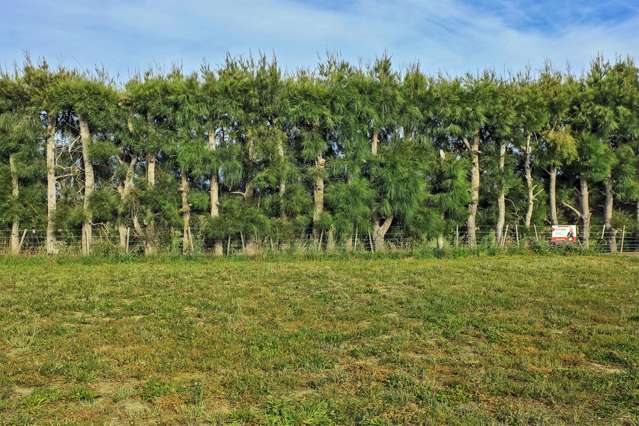 61 Wai Whatu Street Meeanee_2