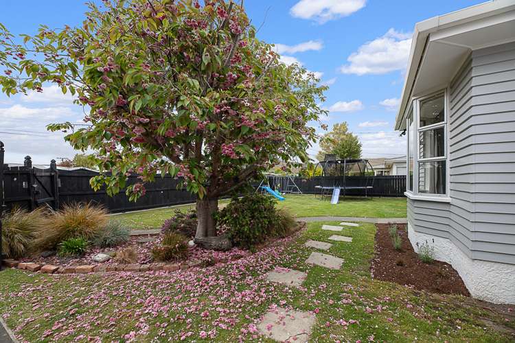 226 Scott Street Redwoodtown_23