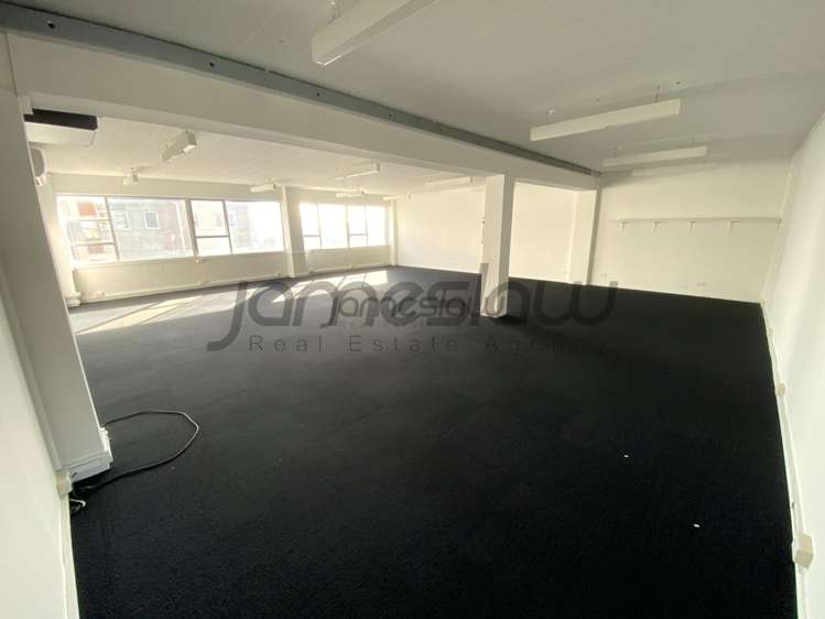 Level 1 - Tenancy C/272 Parnell Road Parnell_6