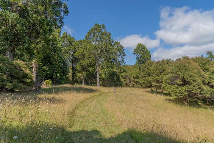 184 Hikuai Settlement Road Hikuai_15