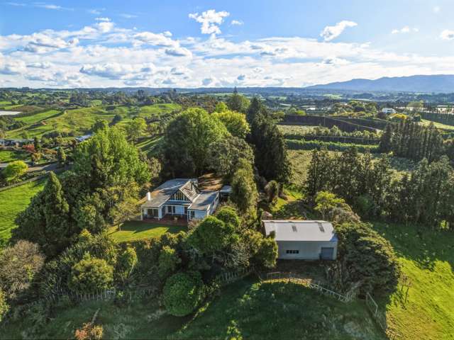 325A Esdaile Road Whakamarama_2