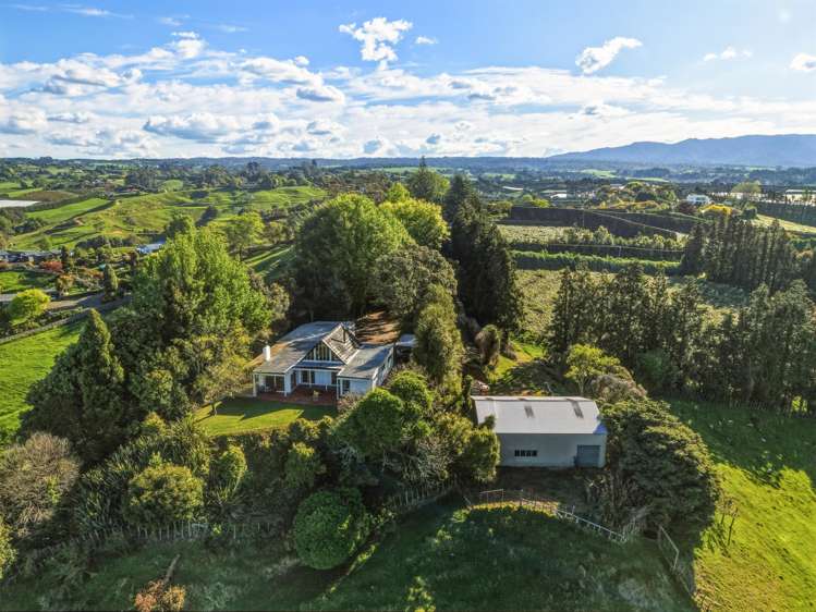 325A Esdaile Road Whakamarama_2